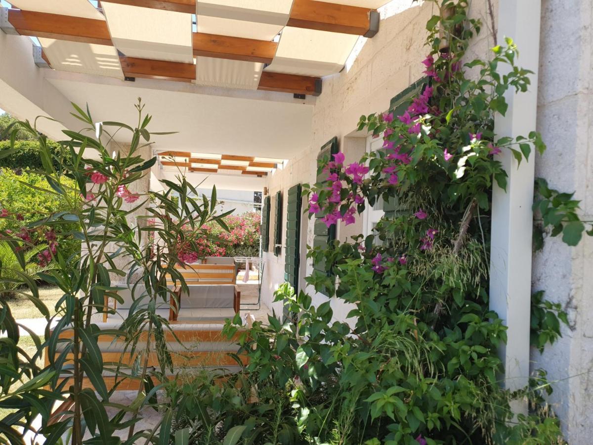 Lolita Apartment Bol